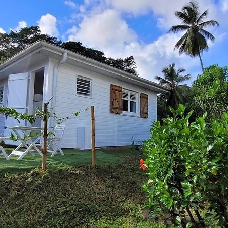 Ti-Hibiscus Bungalow T1 Clim-Wifi 30M2 2 Pers Grande Savane Exterior photo